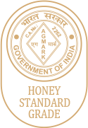 Company License